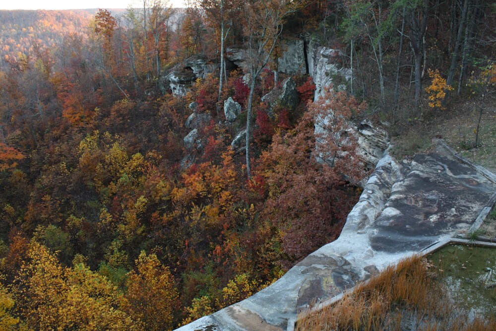 Garden Inn Bed & Breakfast at Bee Rock in Monterey Best Rates & Deals on Orbitz