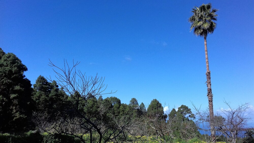 Foto - Monte frio de Tenerife