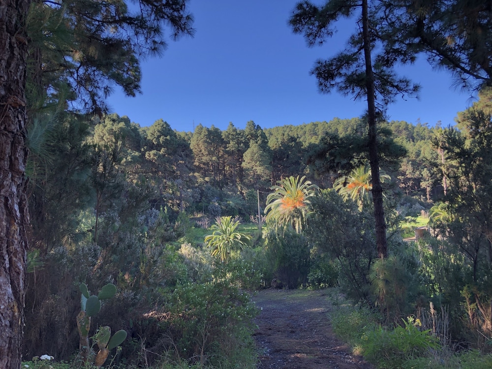 Photo - Monte frio de Tenerife