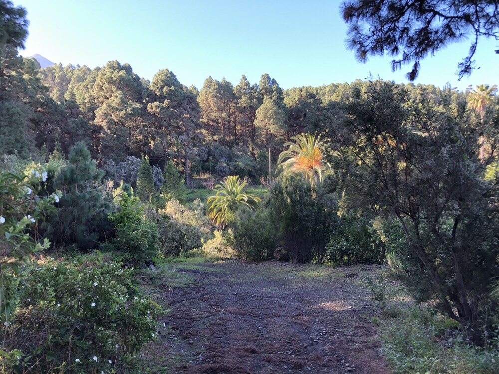 Photo - Monte frio de Tenerife