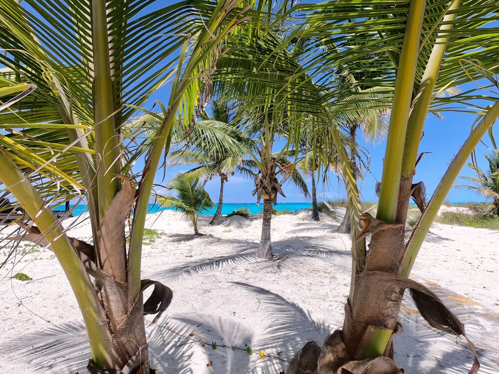New Al On Hgtv Usa Bahamas Life January 1st 4 00 2019 On Hgtv Usa Bahamas Life January 1st 4 00 2019 Room Prices Deals Reviews Expedia