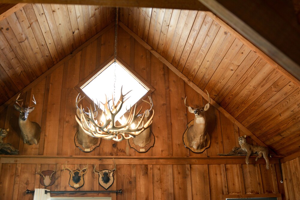 Cute cabin located in the shady mountains. 1 mile from south wolf pen gap.