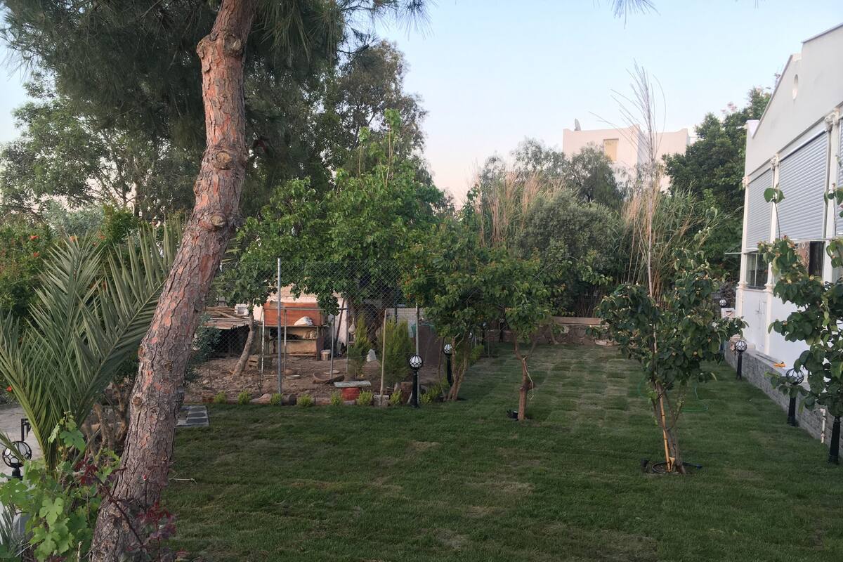 Turkbuku Cadir Kamping In Bodrum Turkey Expedia