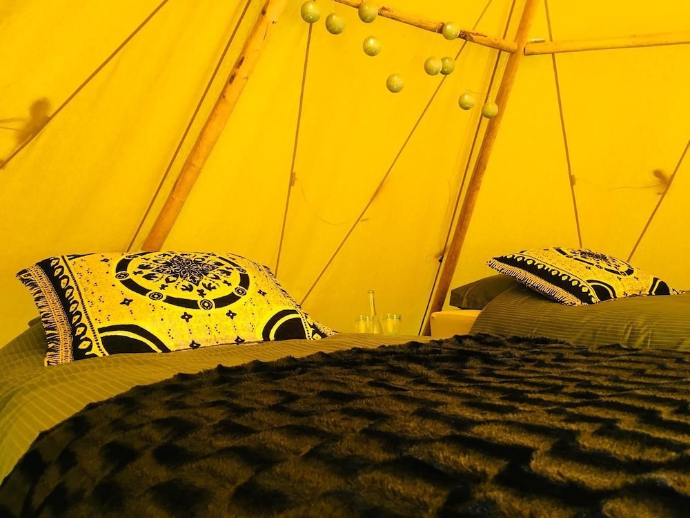 Aurora Glamping By The Whales in Skjervoy Best Rates & Deals on Orbitz