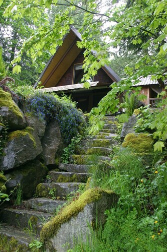 Cozy Skykomish River Cascade Mountains Cabin Relaxation View Hot