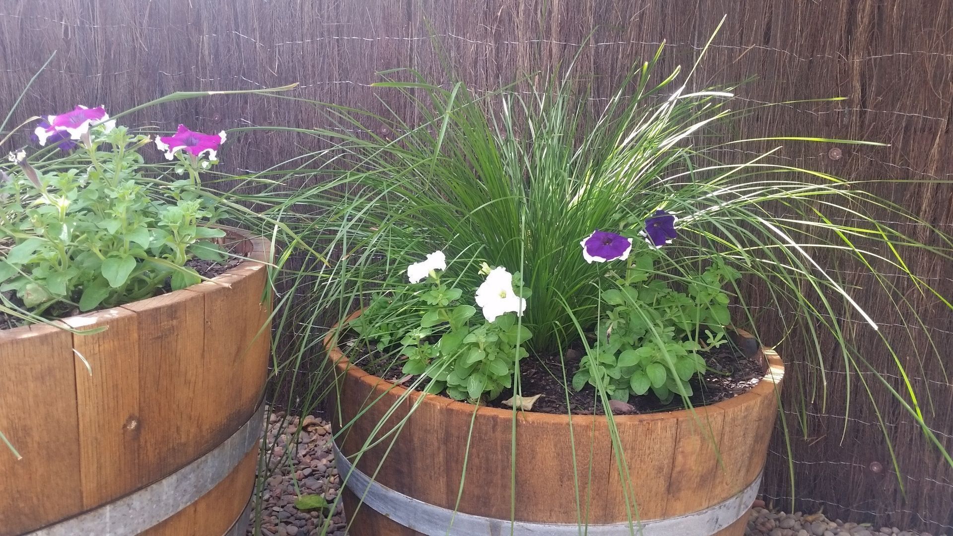 Roselle Cottage - Central Mudgee