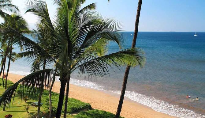 Amazing Ocean Front At Sugar Beach Resort 519 Recently Remodeled 1bdrm 1ba In Kihei Hi Expedia