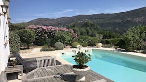 Outdoor pool, sun loungers