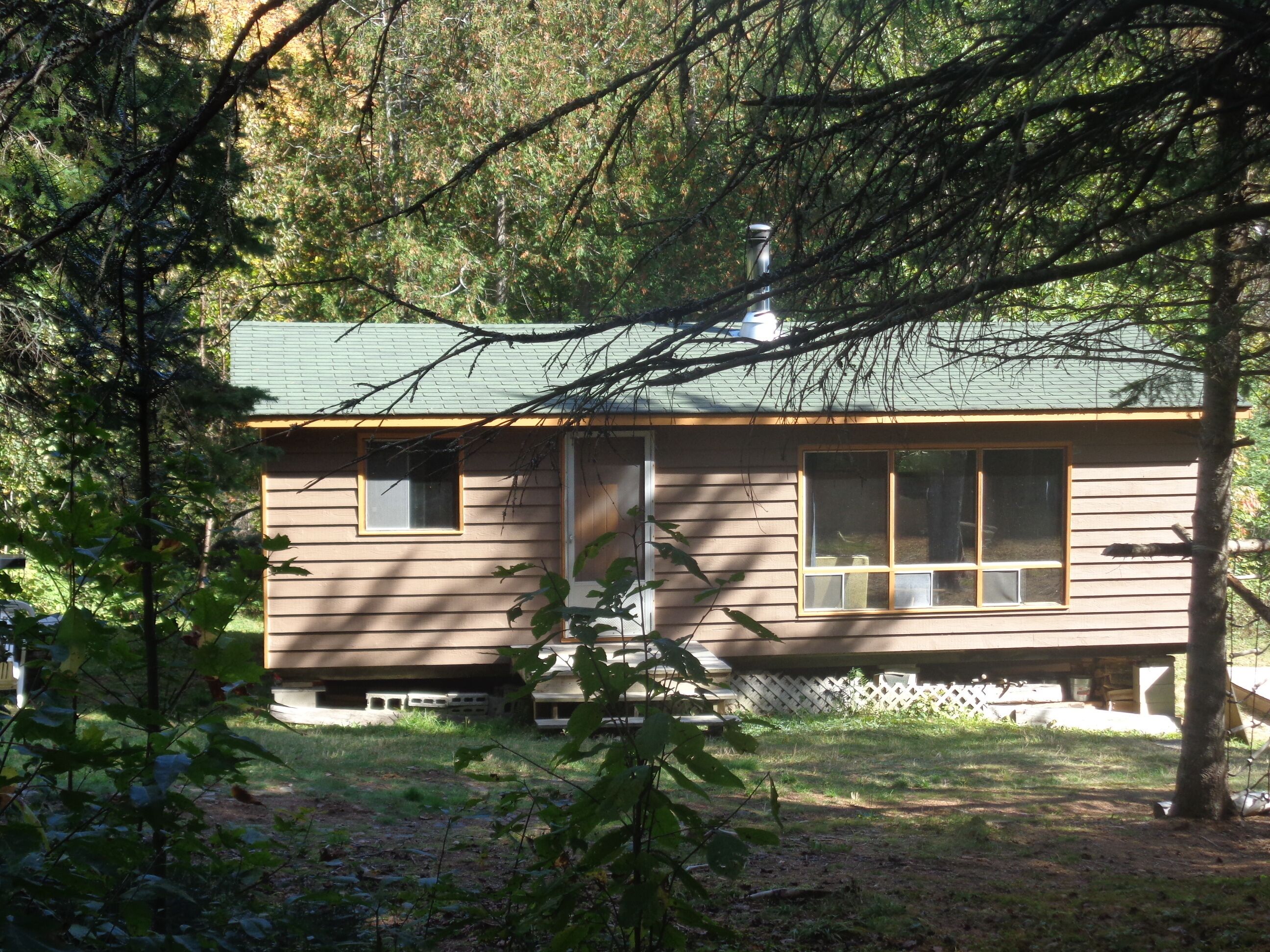 algonquin park cabins pet friendly
