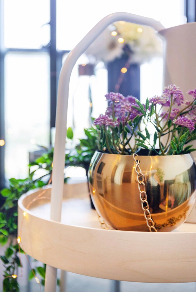 Holistay Premium - Swanston Central