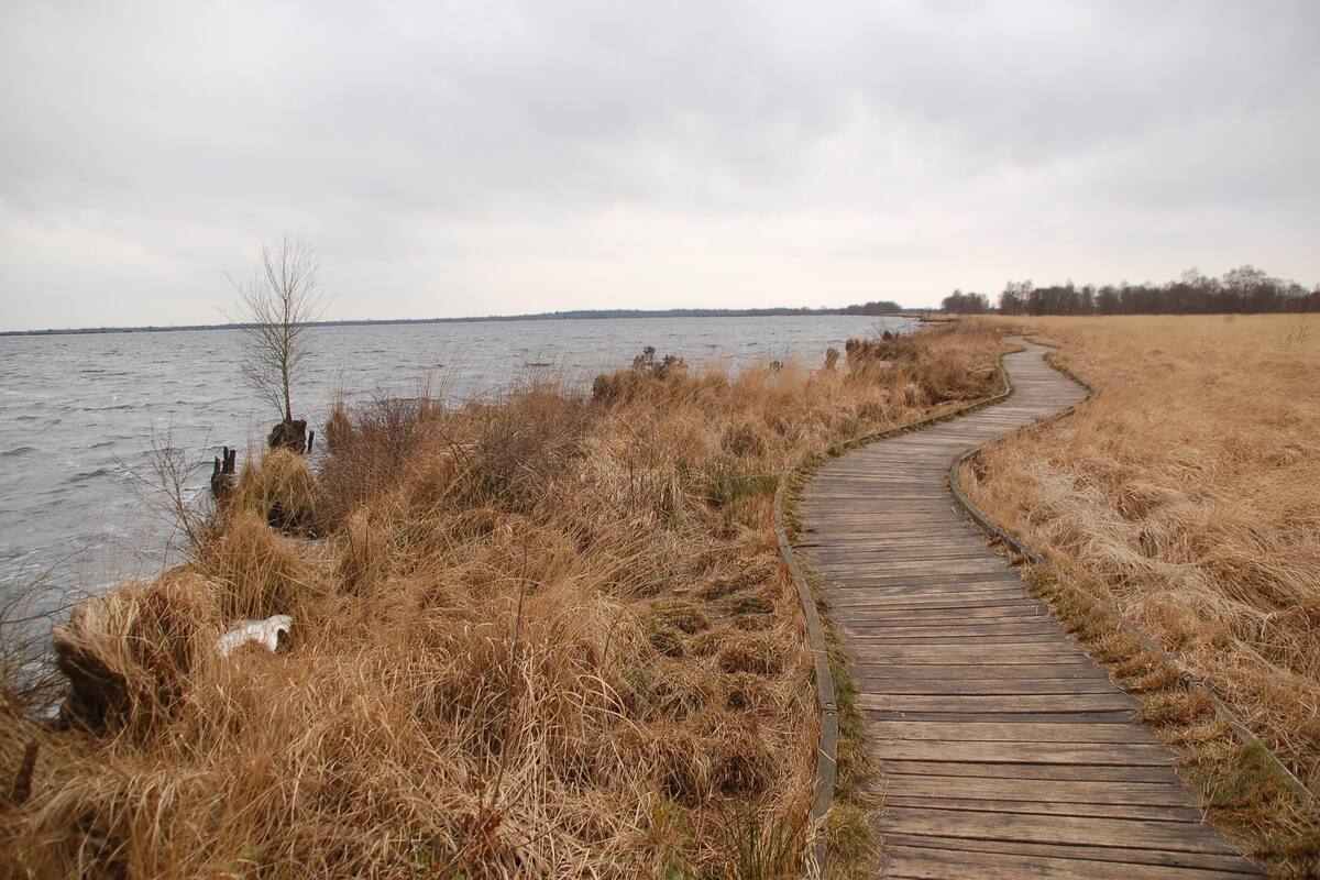 Apartment For A Family With A Dog Near The North Sea Free Wi Fi Dornum Hotelbewertungen Expedia De