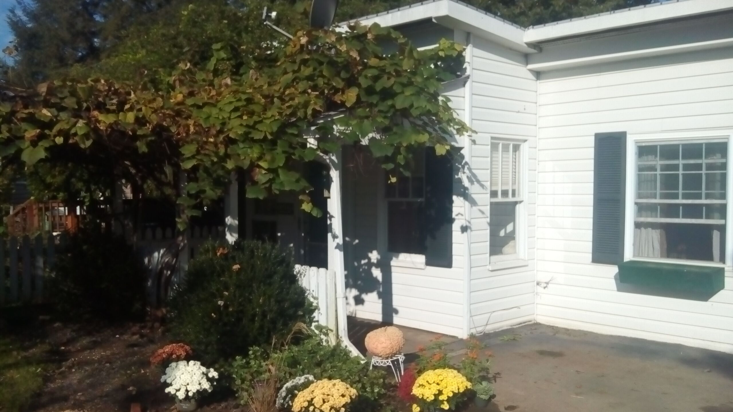 Heart of the Beautiful Laurel Highlands, Comfortable Cottage W/hot Tub, Fire pit in Greensburg, United States
