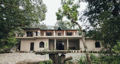 The Camphor Tree-Pura Stays