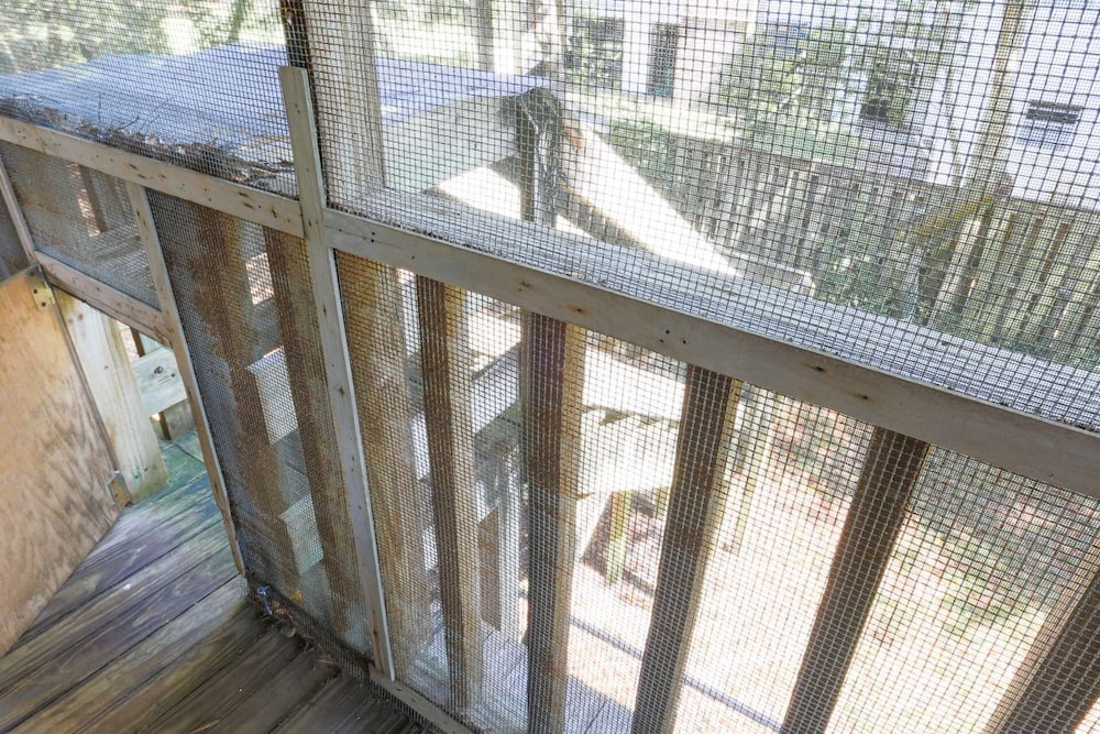 Pet Friendly Homes For Rent In Sullivan County Nh at Demetrius Carlson blog