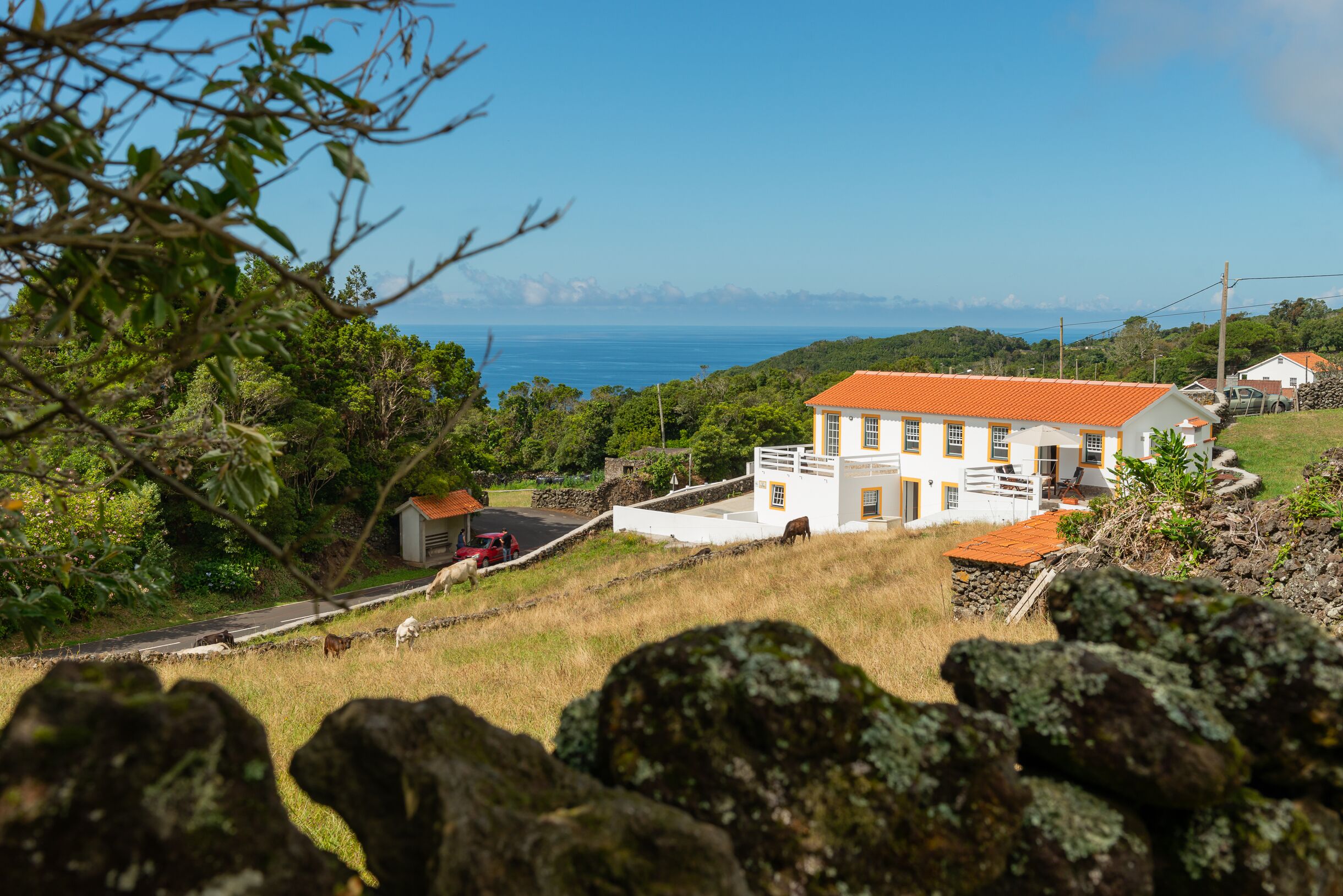 Figueirinha House T2 for 4 People in Lajes do Pico in Lajes do Pico, Portugal