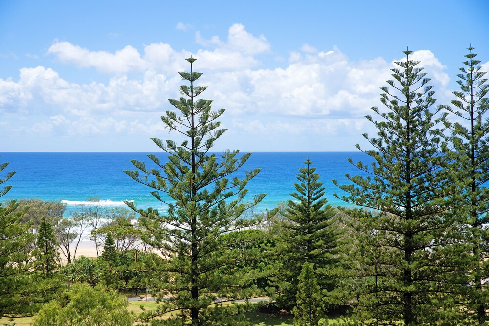 South Pacific Dream, Central Broadbeach