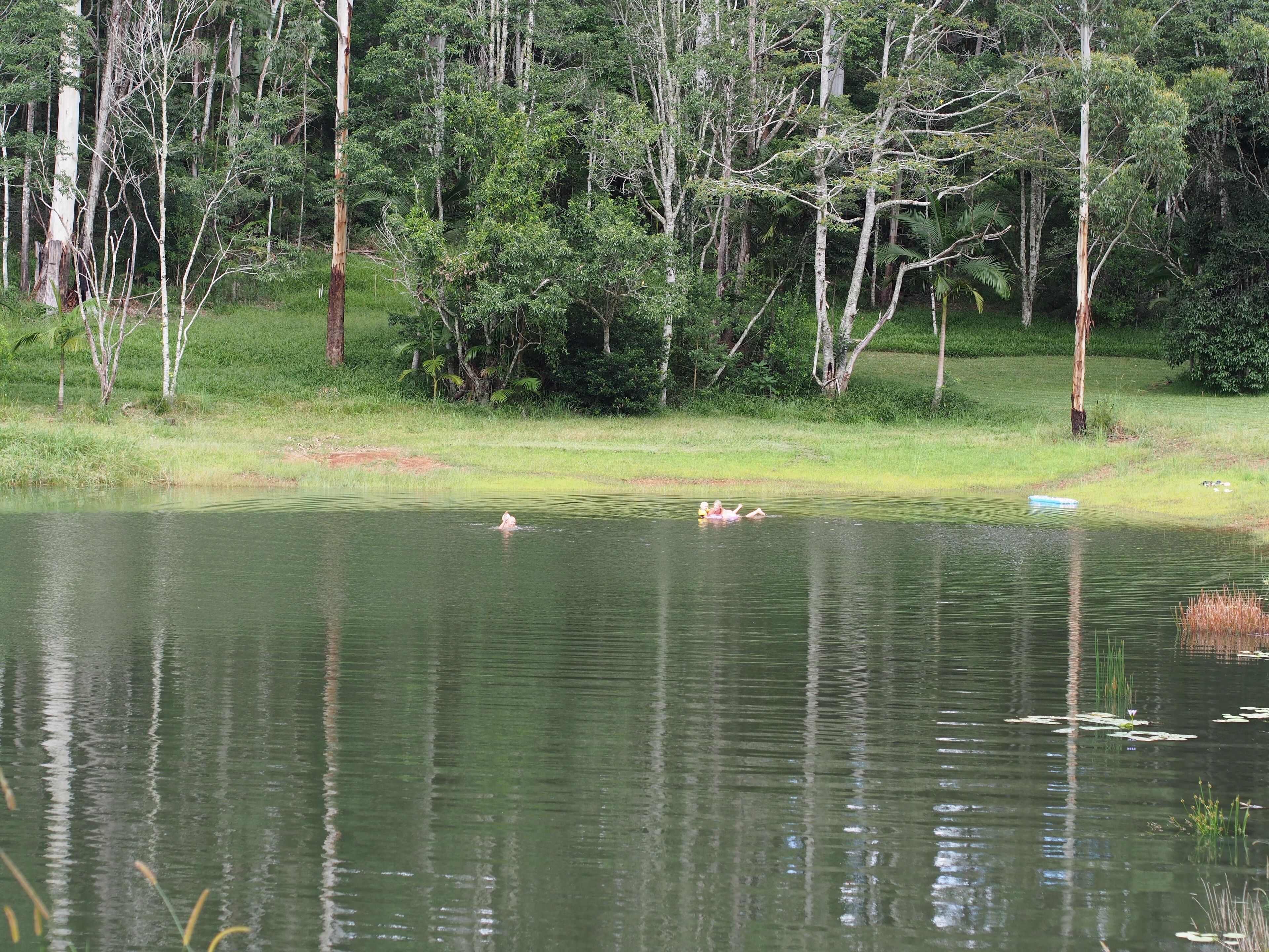 Byron Hinterland - Unique Rainforest Escape