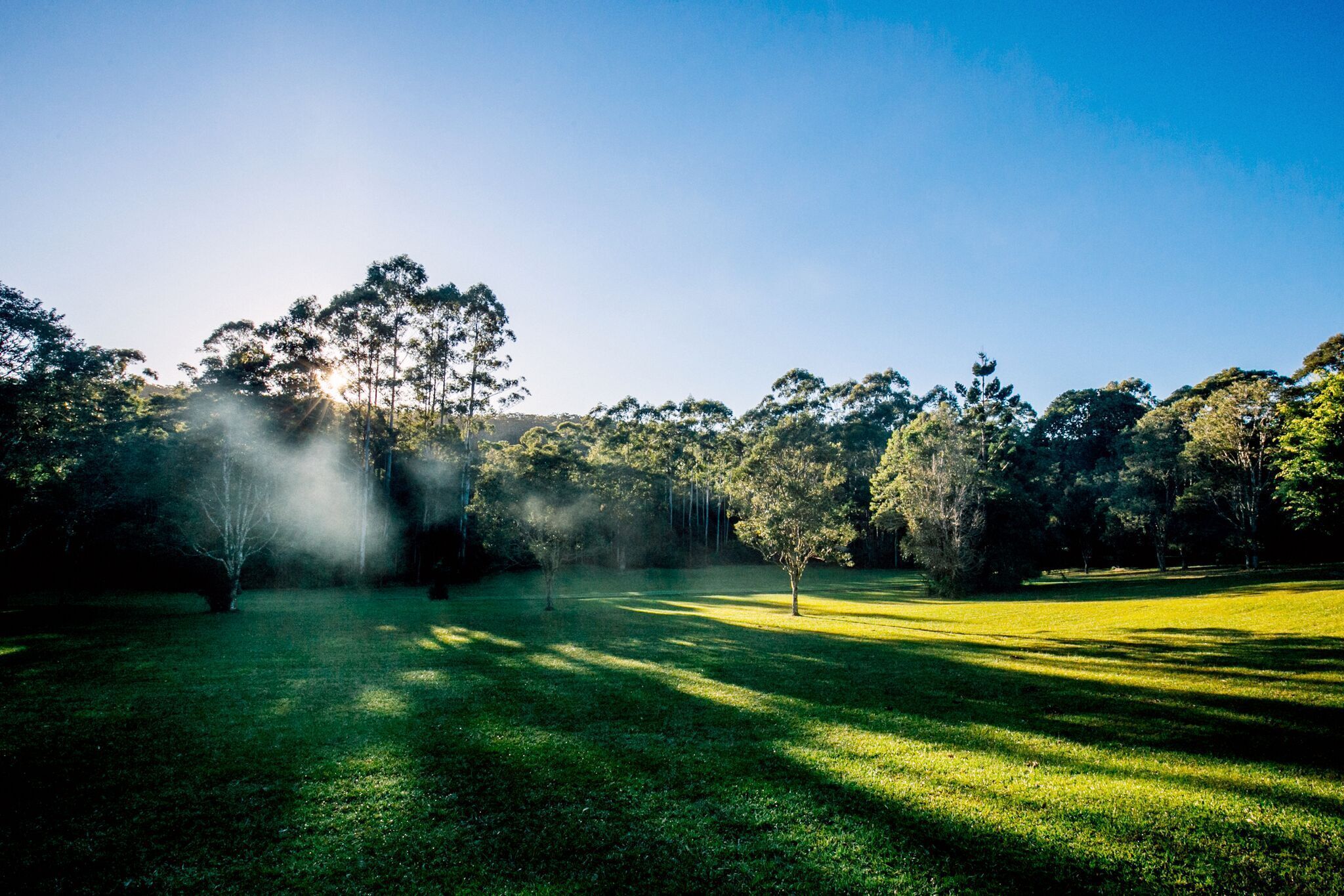 Byron Hinterland - Unique Rainforest Escape