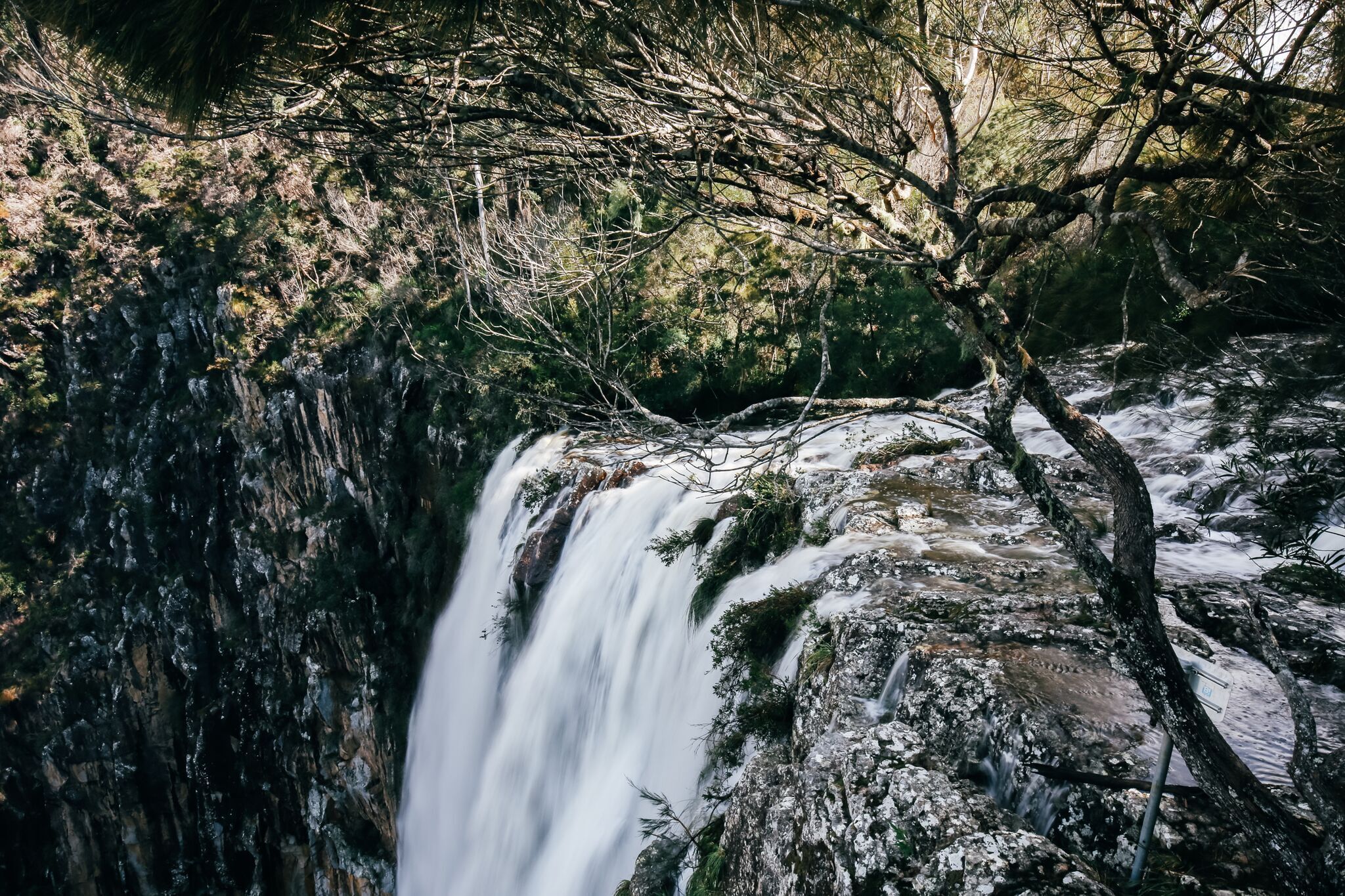 Byron Hinterland - Unique Rainforest Escape