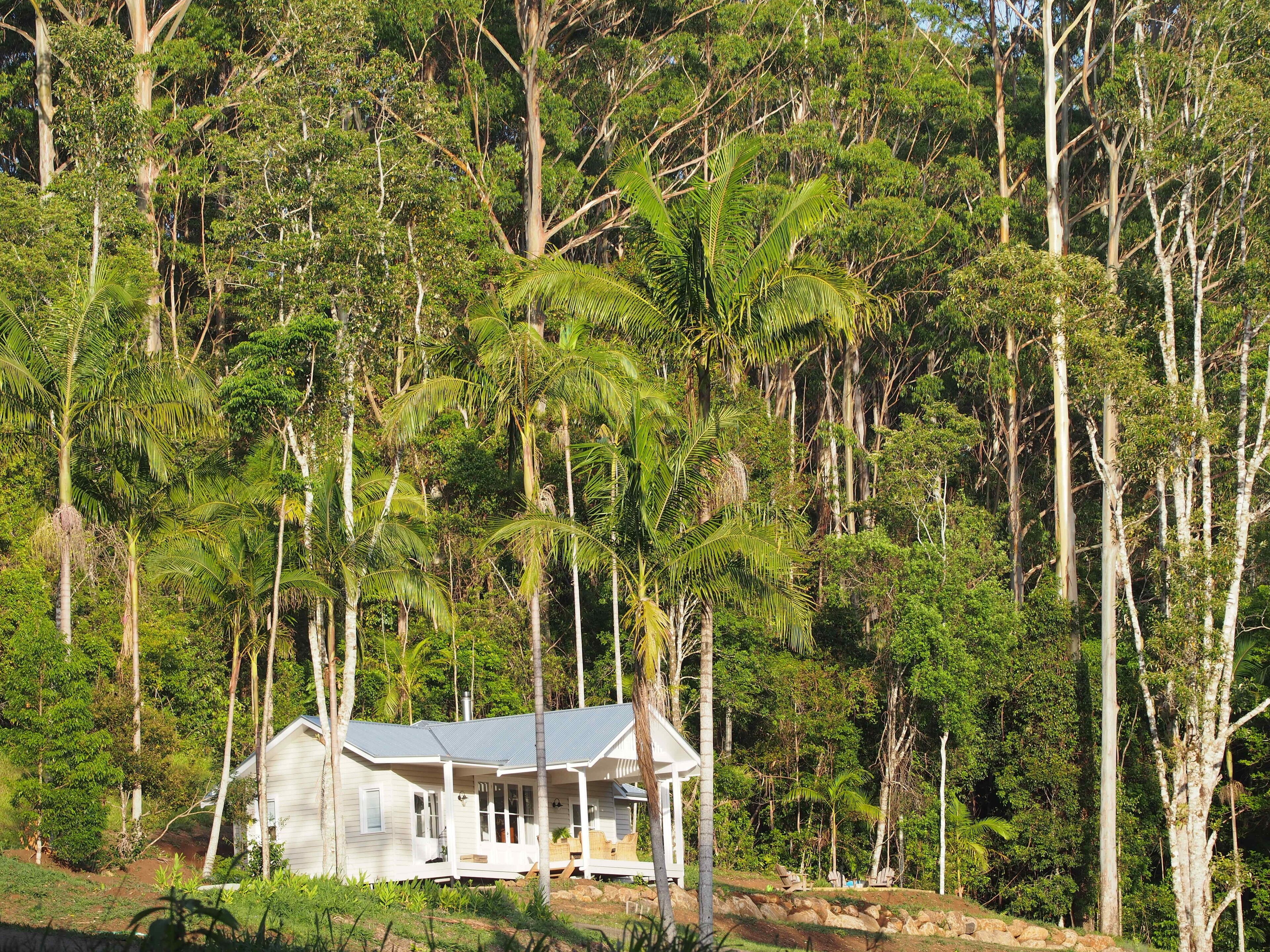 Byron Hinterland - Unique Rainforest Escape