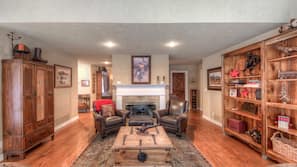 TV, fireplace, video-game console, DVD player
