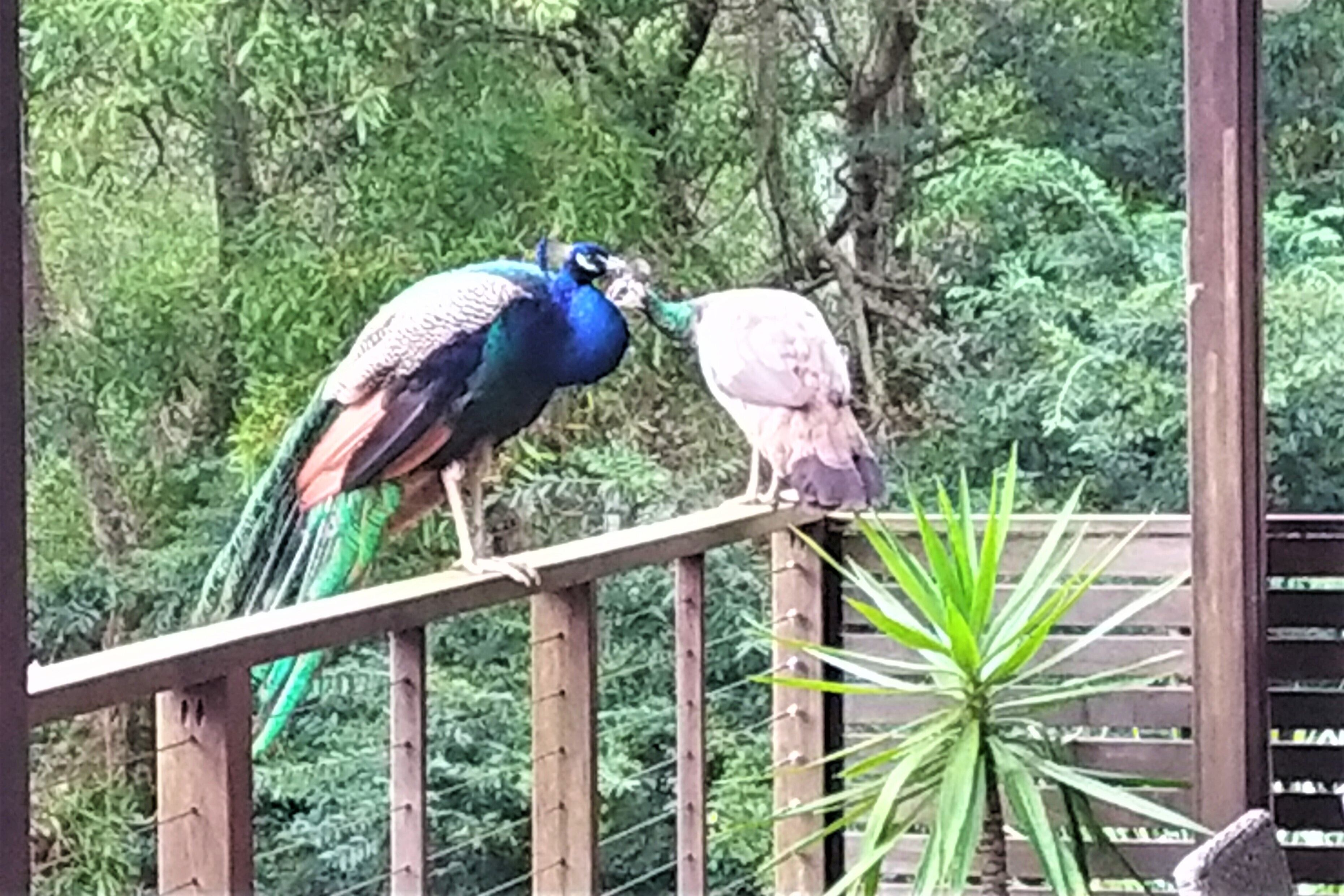 "On Burgum Pond" Guesthouse - Serenity in Nature