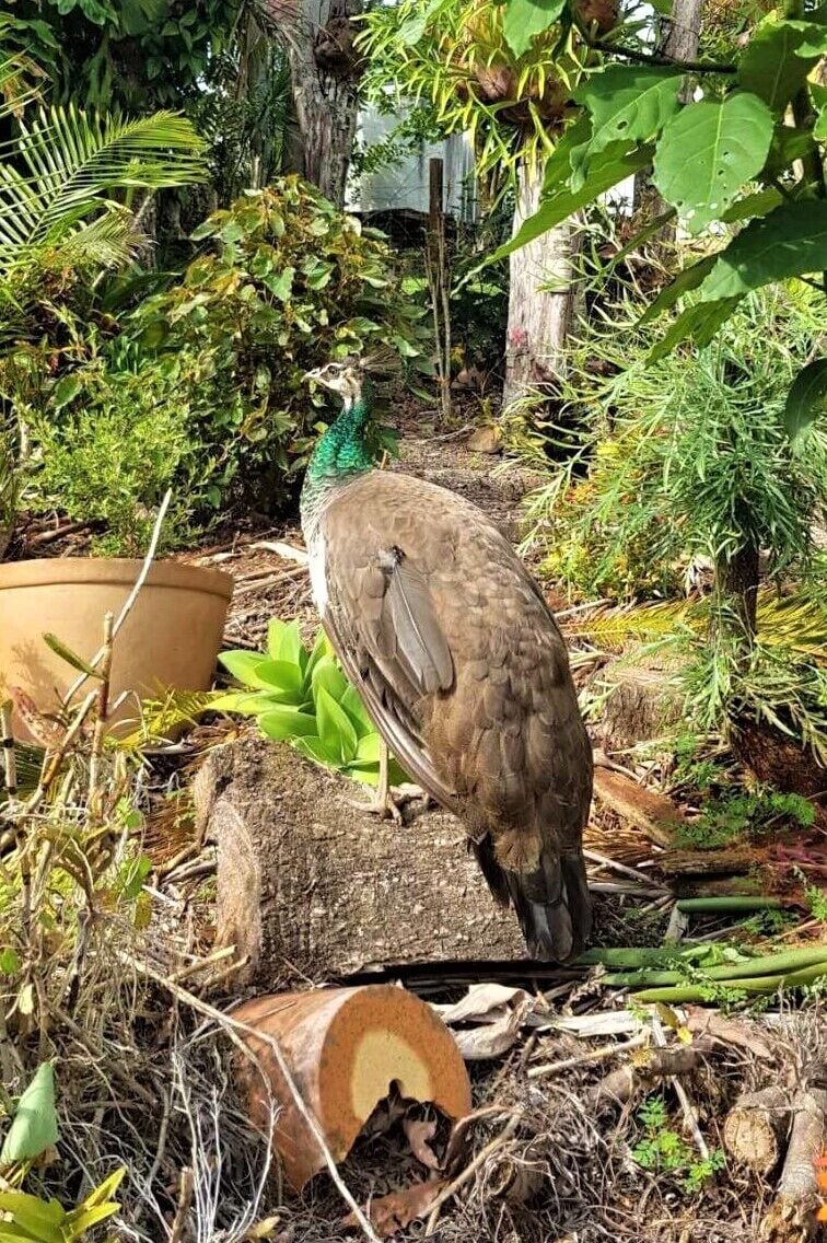 "On Burgum Pond" Guesthouse - Serenity in Nature
