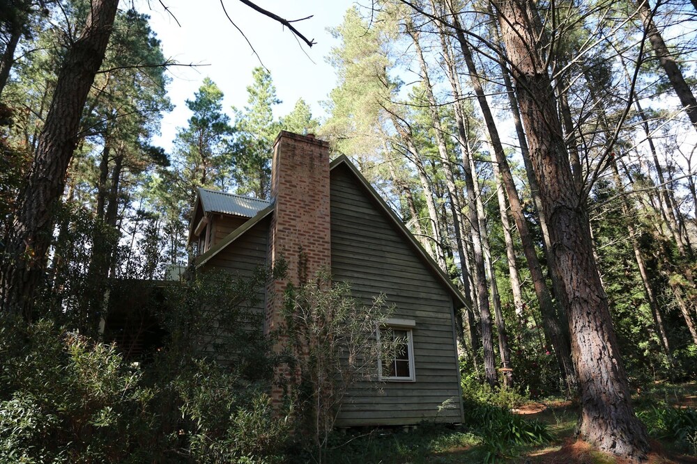 Holly Lodge Medlow Bath