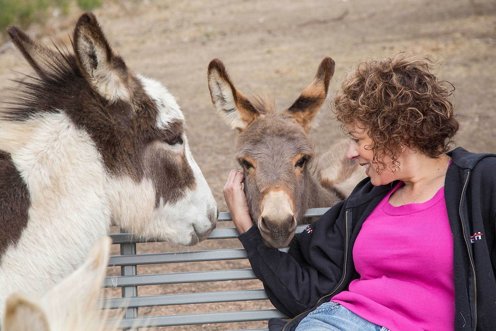 Donkey Tales Farm Cottages