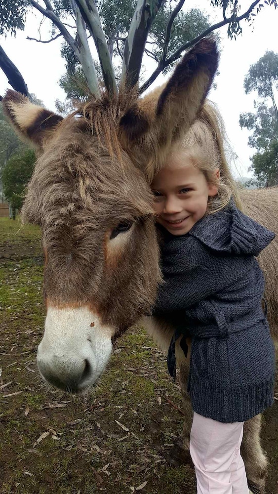 Donkey Tales Farm Cottages