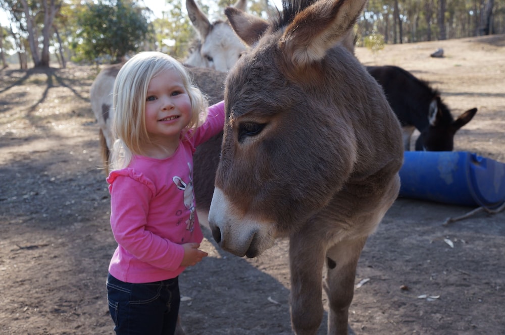 Donkey Tales Farm Cottages