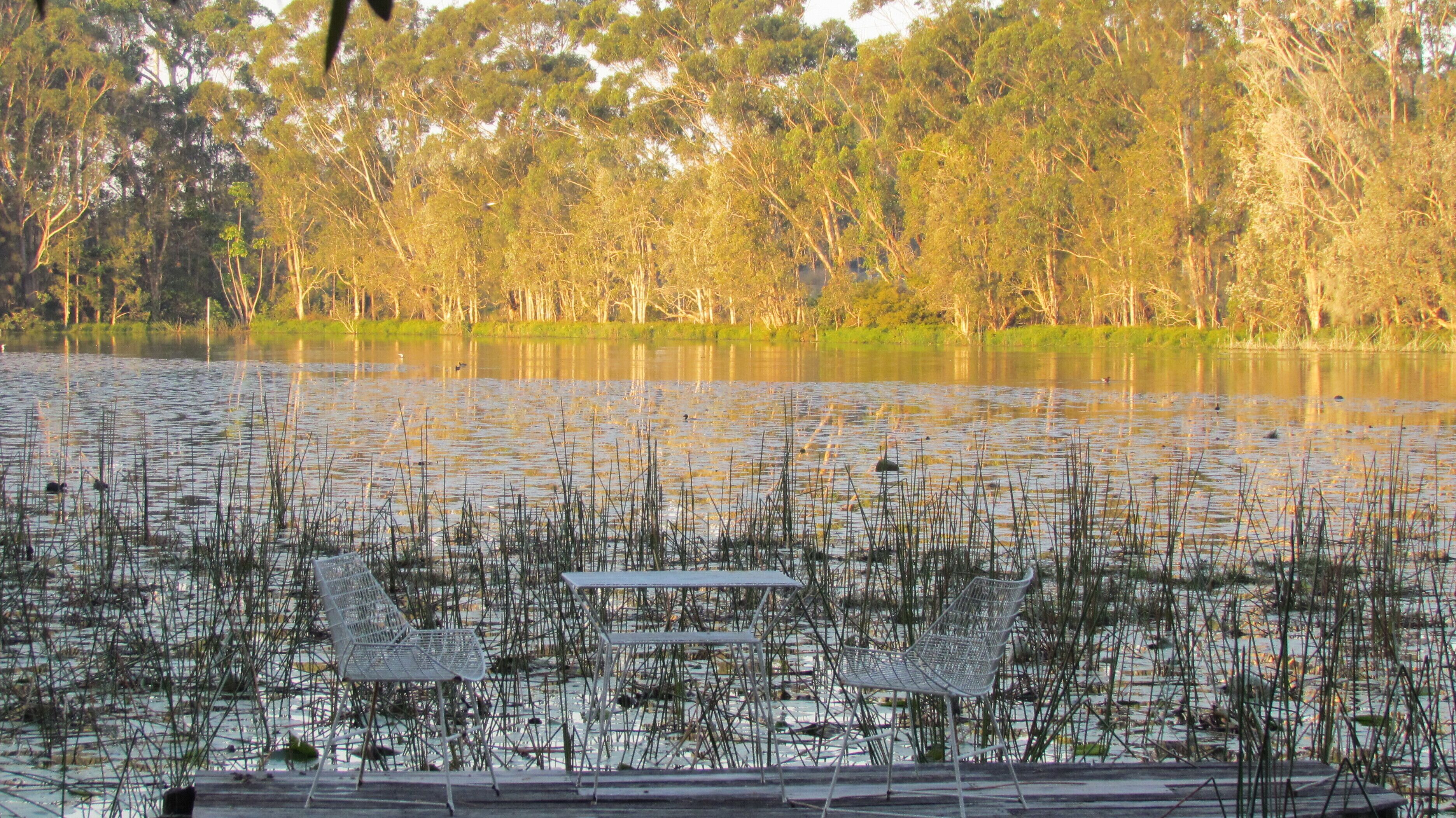 Historic Lake Russell Gallery Sanctuary - Emerald Beach