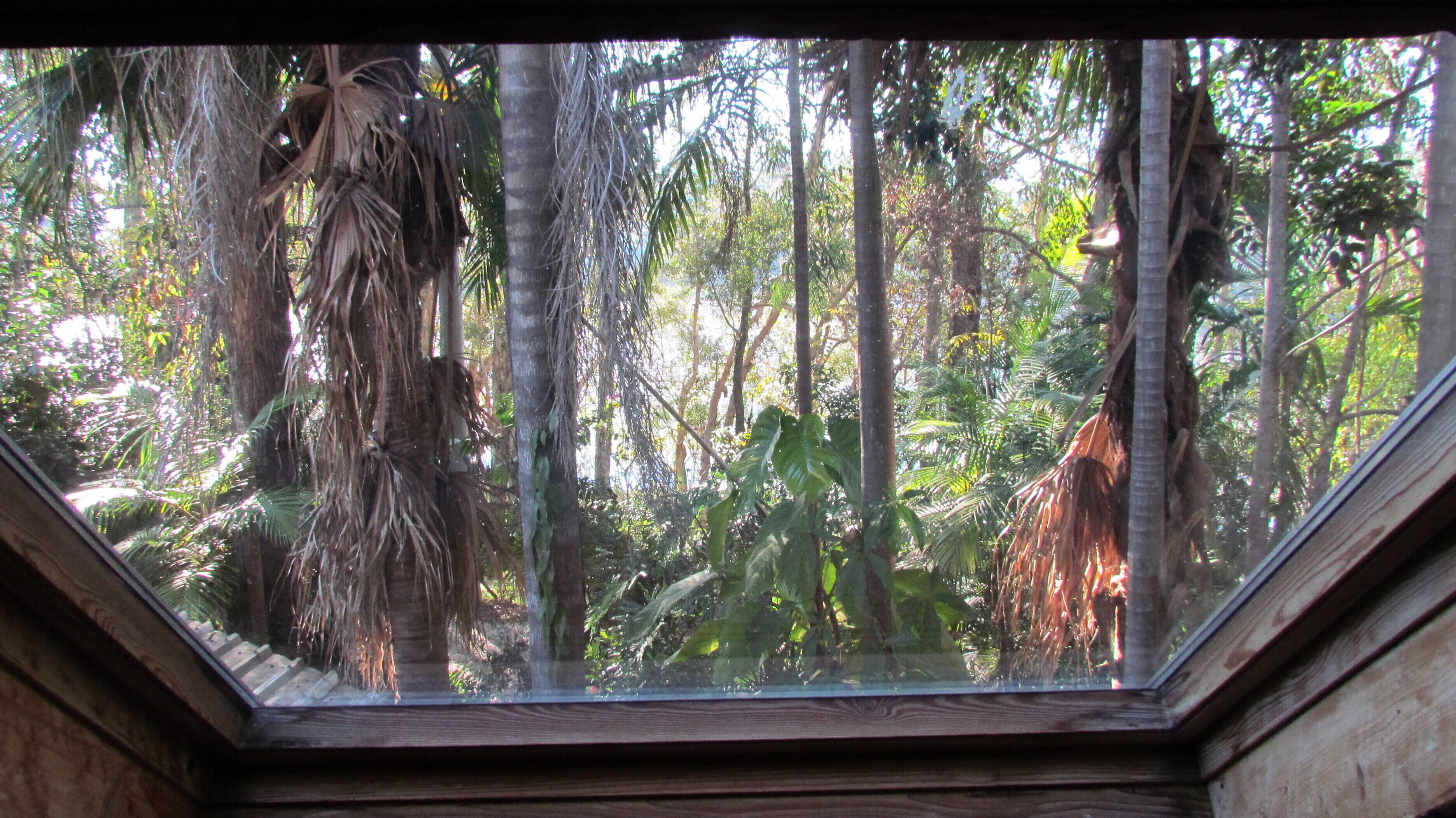 Historic Lake Russell Gallery Sanctuary - Emerald Beach