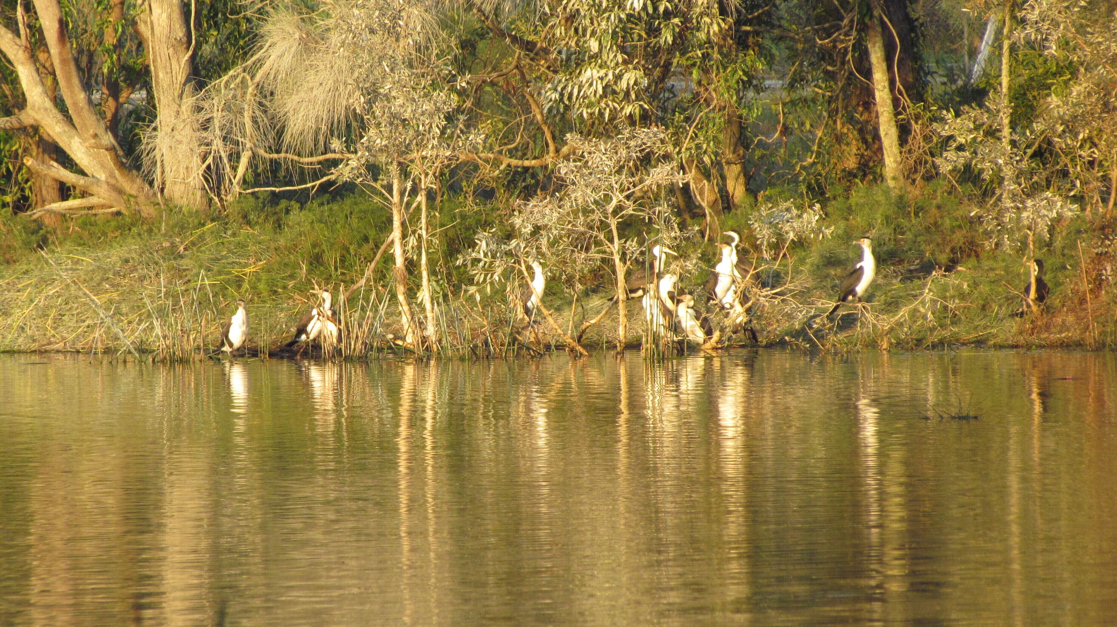 Historic Lake Russell Gallery Sanctuary - Emerald Beach