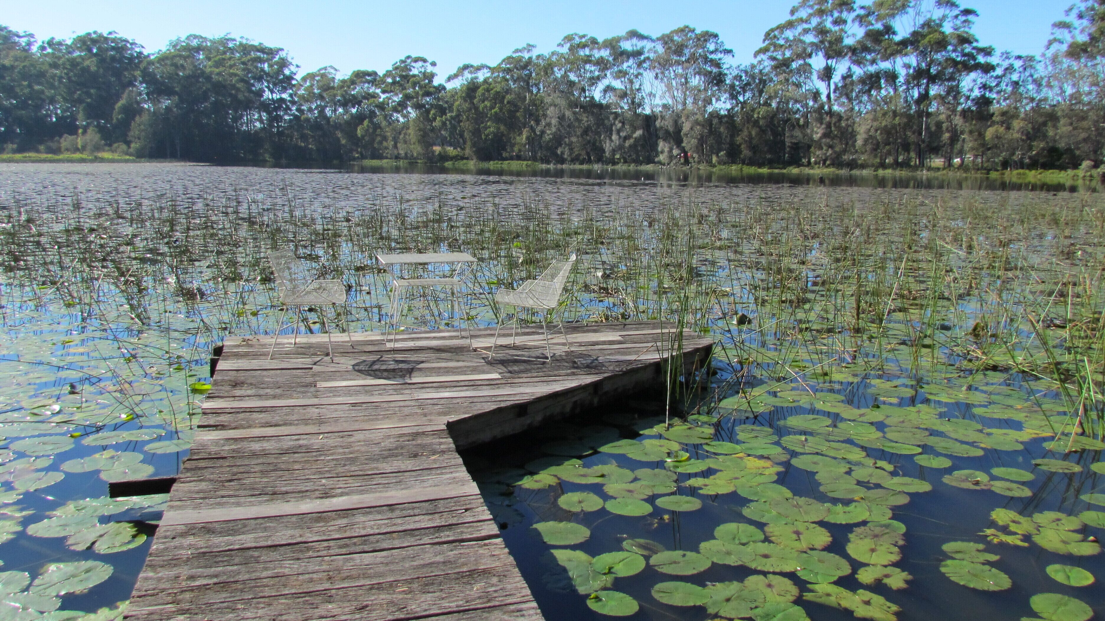 Historic Lake Russell Gallery Sanctuary - Emerald Beach
