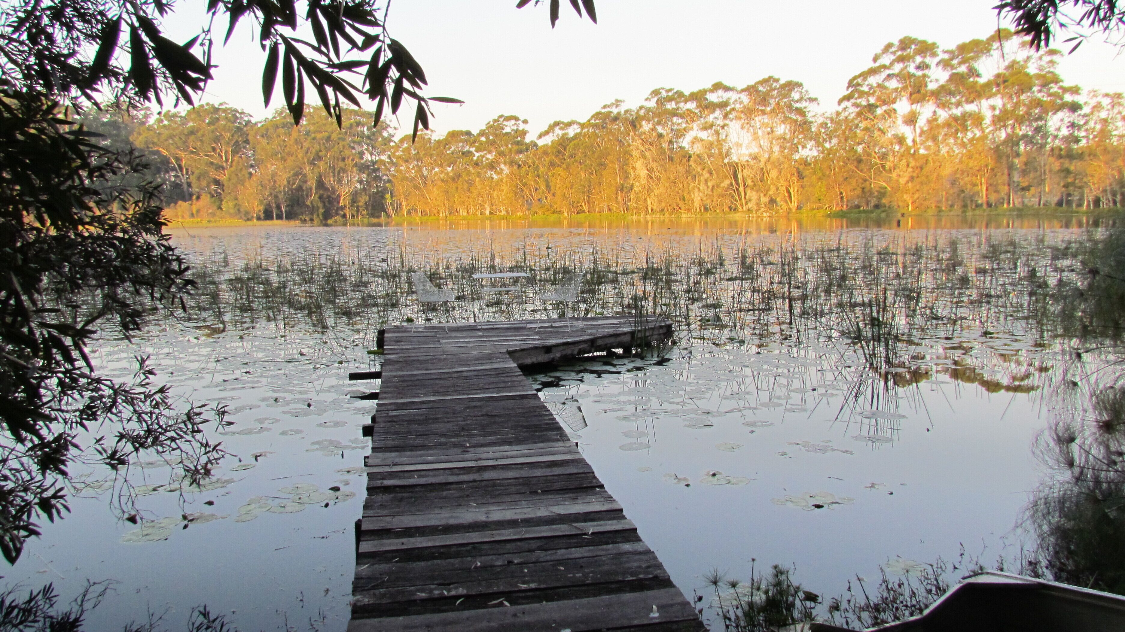 Historic Lake Russell Gallery Sanctuary - Emerald Beach