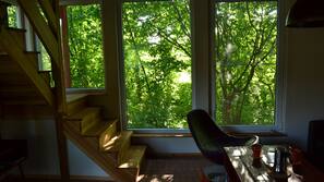 Flachbildfernseher, Kamin, DVD-Player