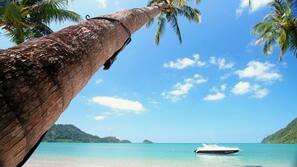 Am Strand, Schnorcheln, Yoga, Volleyball