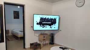Flat-screen TV