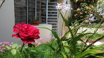 Apartamentos Miramar