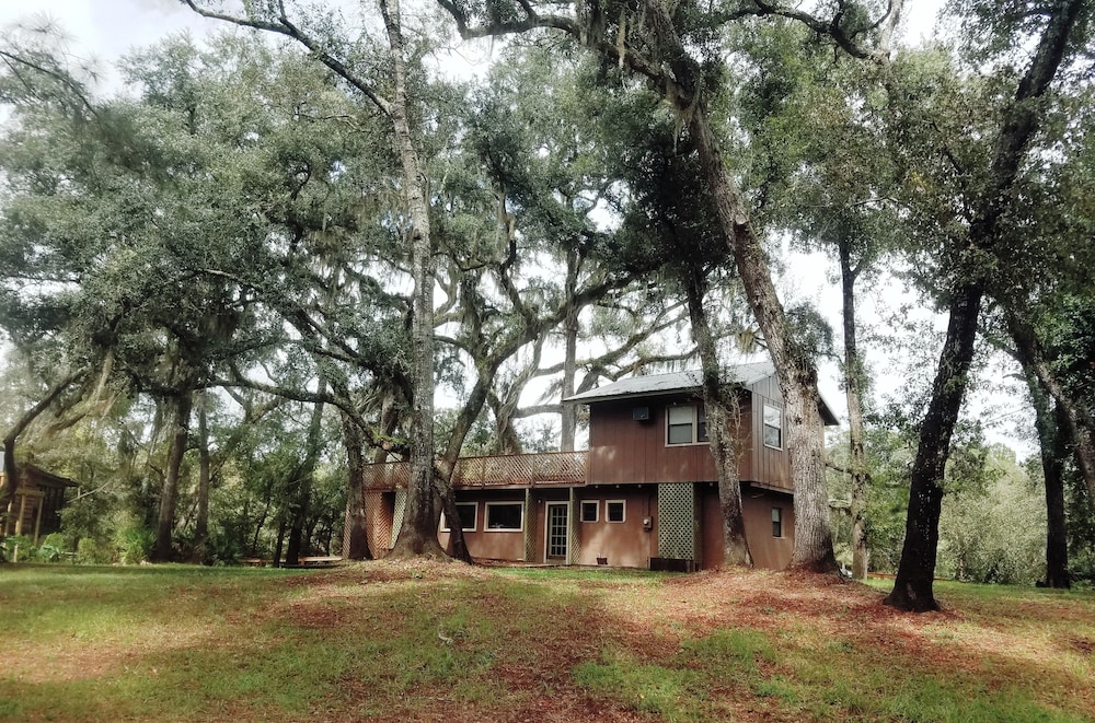 Suwannee River Oasis Waterfront Cabin In Paradise White Springs
