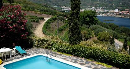 Villa With 3 Bedrooms in Lamego, With Wonderful Mountain View, Private Pool, Enclosed Garden Near the Beach