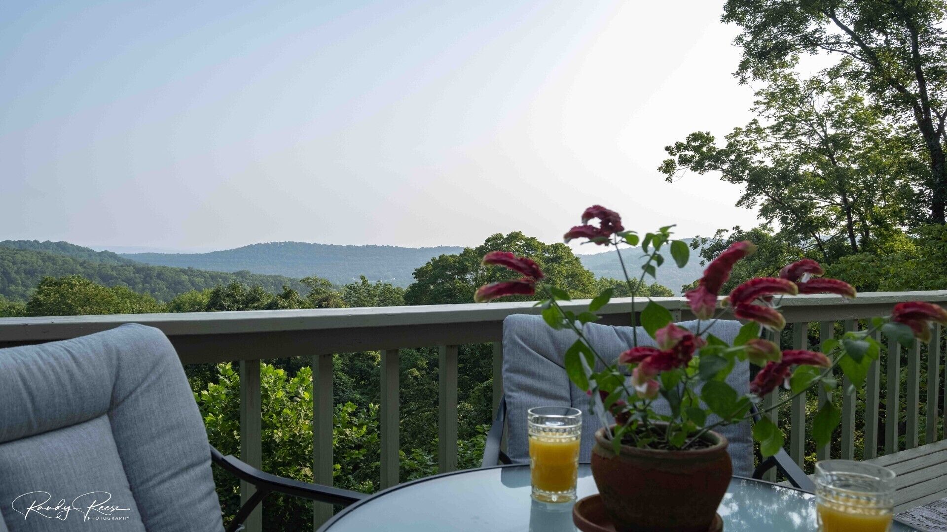 Treetops, Mountain View Cottage In Lakeside Community in Eureka Springs, United States