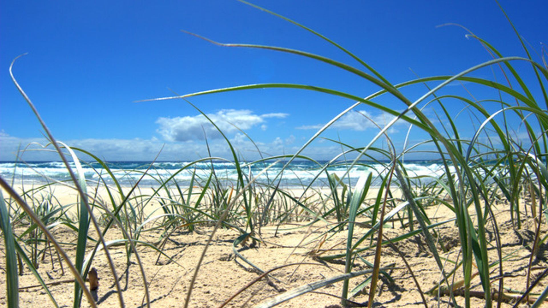 The Byron Beach House- Ultimate Luxury in a Perfect Location-1 min to Main Beach