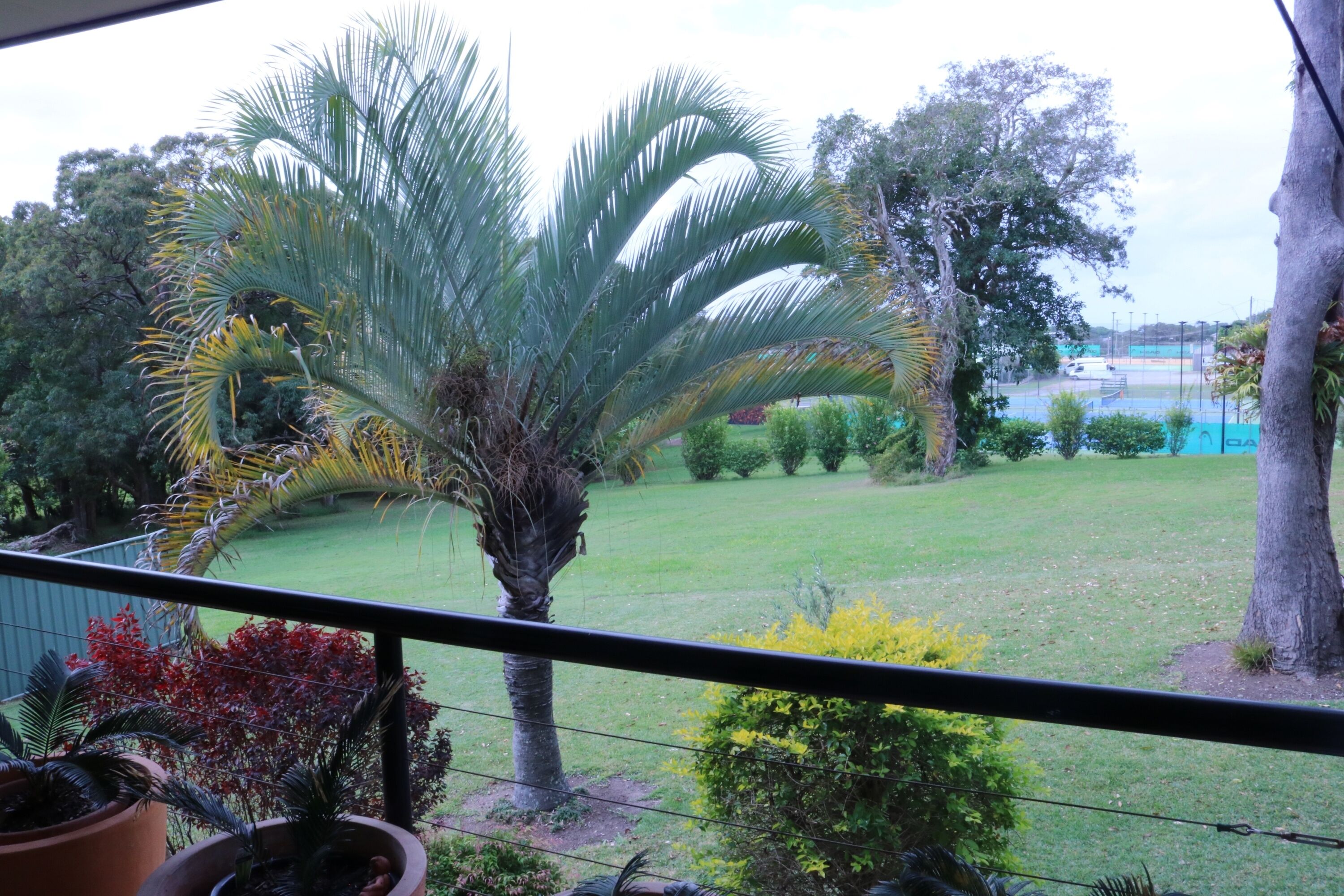 Kooringal (House by the sea) - 5min walk to shops, beach and public pool