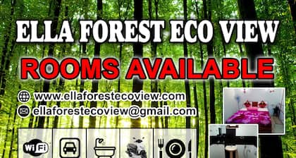 Ella Forest Eco View