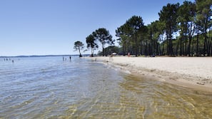 Plage privée à proximité, sable blanc, chaises longues, pêche sur place