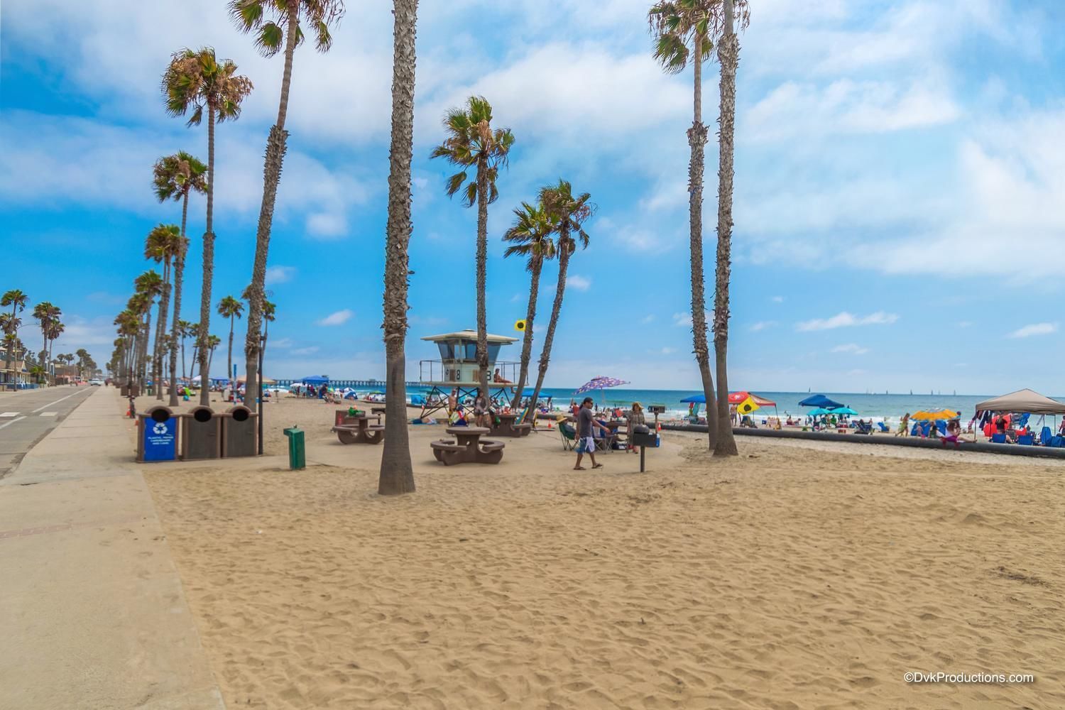 Starfish Cove in Oceanside, United States