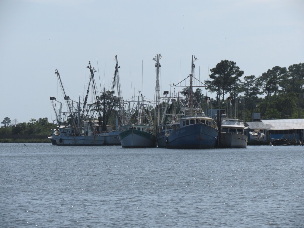 Fishermen Beach Lovers Snowbirds Unique Bon Secour River Cabin, Pet