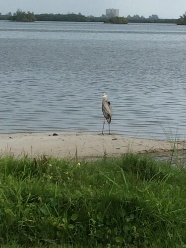 Fishing Cottage On The Indian River Lagoon 2 Miles From The Ft